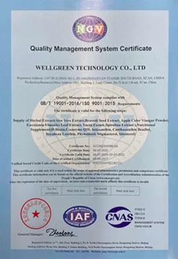 product-1-1 ISO_wellgreen